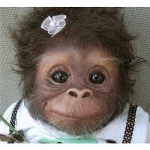 Meet your Posher, Karina